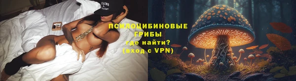 крисы Семёнов