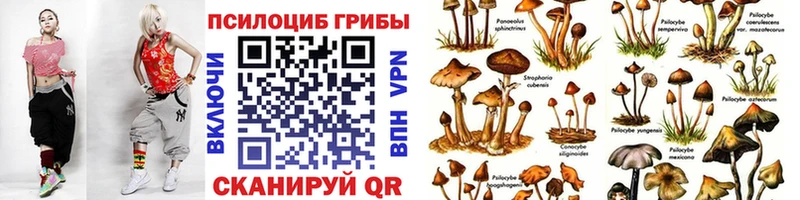 Псилоцибиновые грибы MAGIC MUSHROOMS  наркота  Тулун 