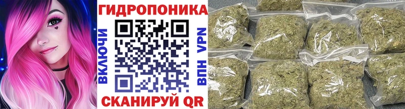 Шишки марихуана семена  как найти   Тулун 